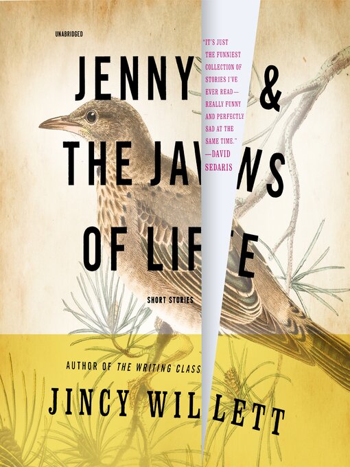 Title details for Jenny and the Jaws of Life by Jincy Willett - Wait list
